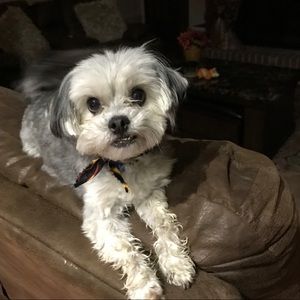 Meet your Posher, Becki